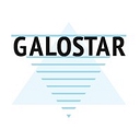 Galostar Brickwork/Scaffolding Ltd logo