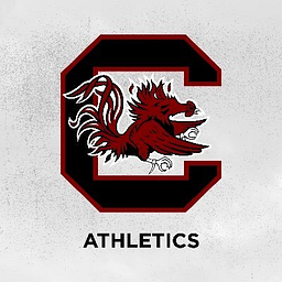 South Carolina Gamecocks logo
