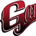 Gamers Baseball Academy logo
