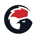 GameSir logo