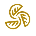 Ganir & Co