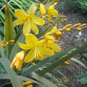 gardenersconnect.org icon