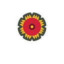 Town of Gaeland logo