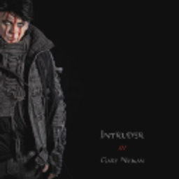 Intruder logo