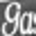 Peter a & Vernice H Gasser Foundation logo