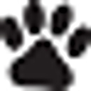 gatitosygatos.com icon