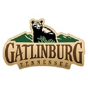 Gatlinburg Convention And Visitors Bureau logo
