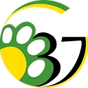 Gavin School District 37 logo