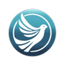 Gavin Farrell Foundation logo