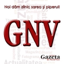 gazetanord-vest.ro logo