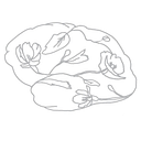 Glioblastoma Research Organization Inc logo