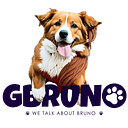 GBruno Store