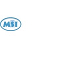 GDMSI logo