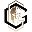 Ge4orce Fire & Security Solutions logo