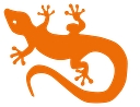 Gecko Direct logo
