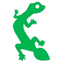 Gecko   Gold Coast And Hinterland Environmental Council logo