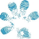 geckobeachclub.com icon