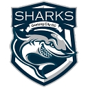 Geelong City Cricket Club logo