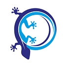 Gekko Photonics