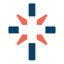 Lhs Foundation Inc logo
