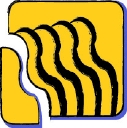 genealogyintime.com icon