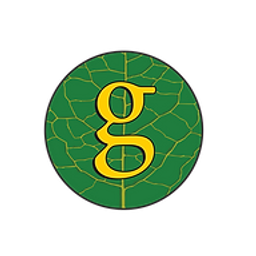 Genesis Innovations Corp. logo