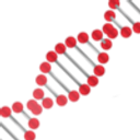 Gene Spotlight Inc logo
