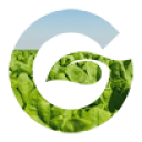 Geneza Ltd logo