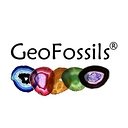 GeoFossils® logo
