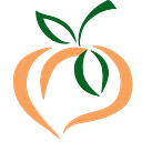 Georgia Community Foundation Inc logo