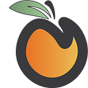 GEORGIA STUDENT SCHOLARSHIP ORGANIZATION logo