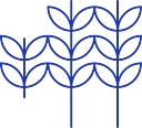 Gesa Credit Union logo