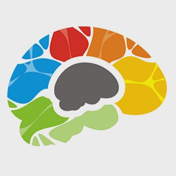 Bigger Brains logo