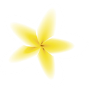 Vita Wellness Center and Spa logo