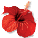 GFWC NAPLES WOMAN'S CLUB INC logo