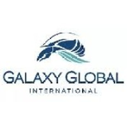 Galaxy Global International LLC logo