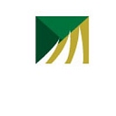 Global Institute For Development Evidence logo