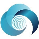 Gidisync Solutions Logo