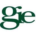 Gie Media, Inc. logo