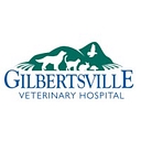 gilbertsvillevet.com logo