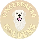 GINGERBREAD GOLDENS