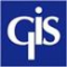 Consulting and IT Staffing Services logo