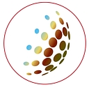 Global Implementation Solutions logo