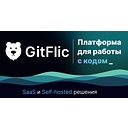 GitFlic