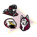 The Bloomsburg University Foundationinc logo