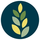 Glen Education logo
