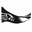 Gliding Eagle Inc logo