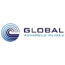 GLOBAL ADVANCED METALS USA INC