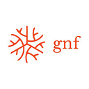 Global Nerve Foundation logo