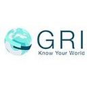 Global Risk Insights logo